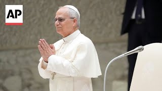 Pope Leo XIV calls for an end to 'terror, destruction and death' in Gaza