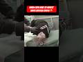 When Cops Have To Arrest Super Entitled Brats #dashcam #crimestory #policebodycamera
