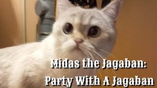 Midas The Jagaban - Party With A Jagaban - Sneshka Tv
