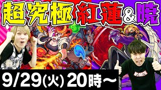 【モンストLIVE】M4タイガー桜井の超究極【紅蓮&暁】初見攻略！【ターザン宮坊はマルチで参加】