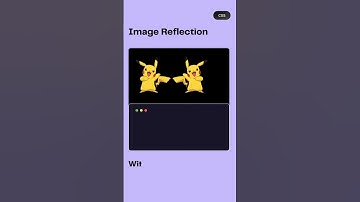 ✨ Image Reflection Effect in CSS 🚀 | Stunning Visual Trick! 💡🎨 ||#shorts #shortvideo #youtube #fyp
