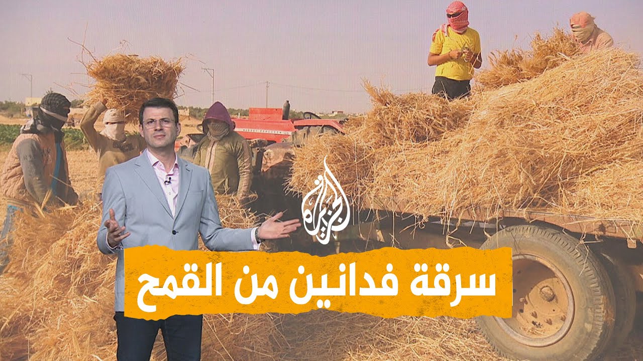 ����� | ���� ���� �� ���.. ������ ����� ���� �� ����� �� �����
 - نشر قبل 9 دقيقة