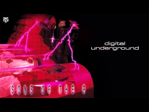 The D-flowstrumental Video