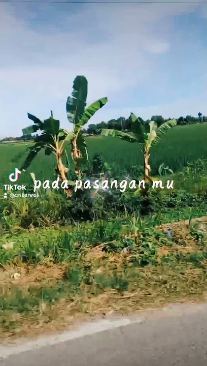sebatas angan