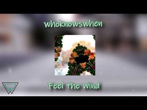 Ben Kestok - Feel the Wind