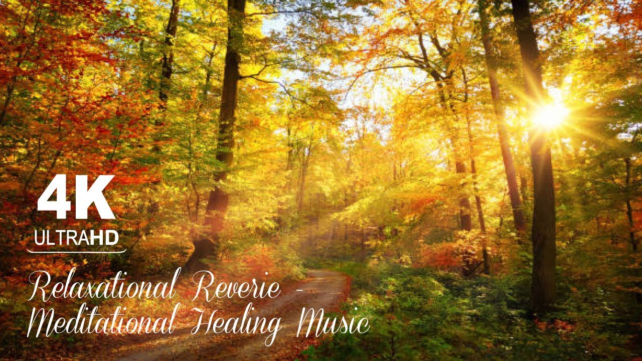 Soothing Symphony for Deep Relaxation and Stress Relief | 4K Ultra HD ...