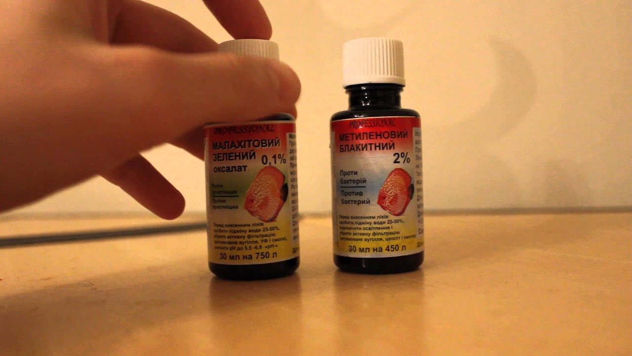 Лечение манки у рыб - YouTube