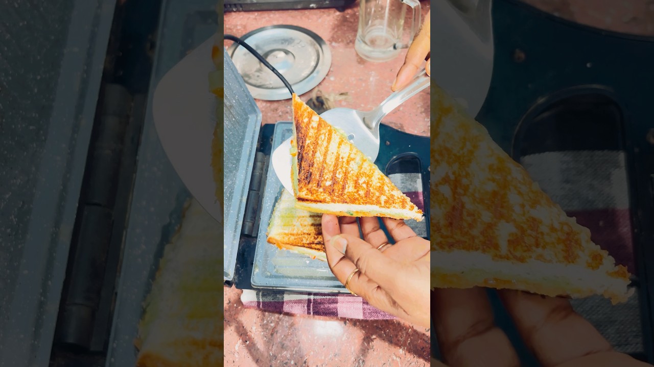 प्रेमानन्द महाराज जी