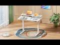 Gibbon Mounts 40'' Electric Standing Desk丨Built for every posture