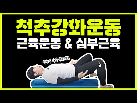 척추 강화운동 균형운동 | 물리치료사 PT 재석