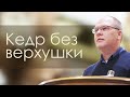 Владимир Меньшиков (2021) "Кедр без верхушки" проповедь Пермь.
