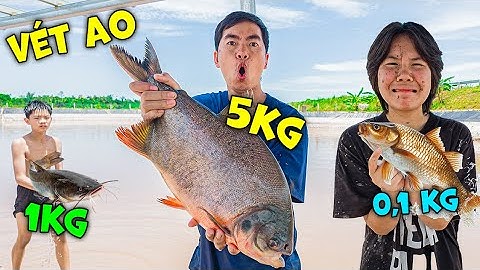 Thái Chuối Vét Hết Ao Cá Bất Ngờ Vồ Được Cá Khổng Lồ Nướng Ăn Siêu Thơm Ngon