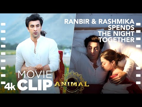 ANIMAL Movie Scene: Ranbir & Rashmika Spends the Night Together😊|Ranbir,Rashmika,Sandeep V,Bhushan K
