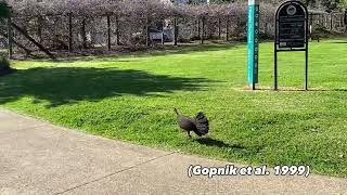ECE 6010 Assignment 1 video