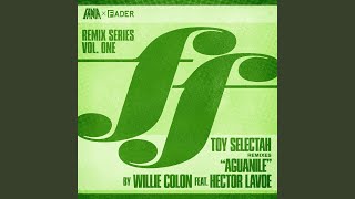 Aguanile (Toy Selectah 2013 Cosmico Remix)