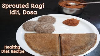 முளைக்கட்டிய ராகி இட்லி, தோசை | Sprouted Ragi Idli & Dosa | Finger Millet Recipes | Suvi Recipes