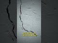 The Concrete that Heals Itself with Bacteria #Shorts
