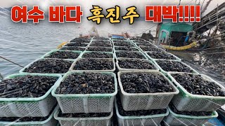 여수 천연 MSG가 널렸다!! 국민 바다 밥상 클라쓰~