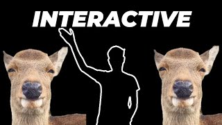 新しい没入型インタラクティブ・ウォームアップ動画 - 鹿バージョン Immersive Interactive Warm Up - deer version🦌