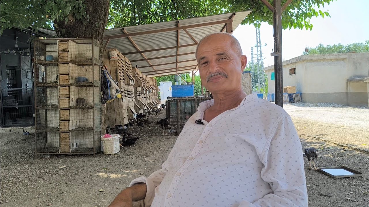 Efsane Festivallerin Mimarı Kozanlı Ramazan Usta İle  Türkiye'de Horozculuk Üzerine Söyleşi