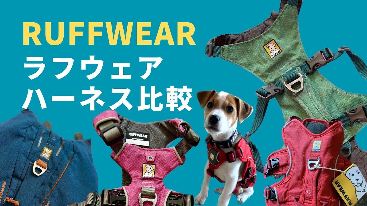 Jack & Momo 『RUFFWEAR ラフウェア ハーネス比較』 - YouTube