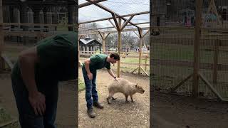 Hazel is back in Bolton!