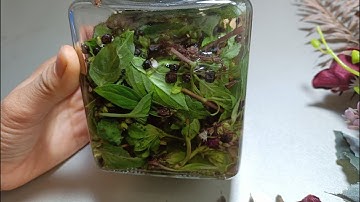 Bài thuốc cai rượu bằng húng quế và tiêu đen giúp cai nghiện rượu dứt điểm sau 3 tuần| Pill Khoẻ Đẹp