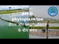 Essential connection between pH and phytoplankton . पीएच और फाइटोप्लांकटन के बीच आवश्यक संबंध