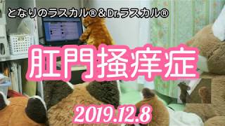 [ツイキャス] 「肛門掻痒症」 (2019.12.08)