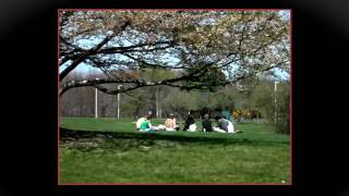 postcard: springtime