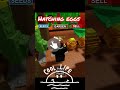 I LOVE WATCHING MY EGGS HATCH 🐣👆#roblox #growagarden #growagardenroblox