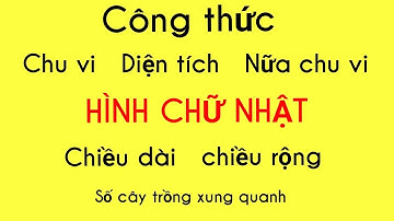 CÔNG THỨC HÌNH CHỮ NHẬT ( Tìm Chu Vi, Diện Tích, Chiều Dài, Chiều Rộng, Nữa Chu Vi ) #27