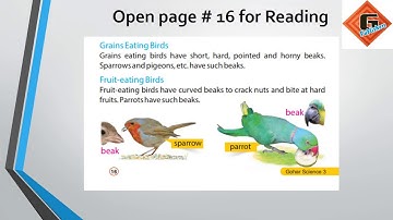 Gohar Science Book 3, Chapter 4, Lecture 1