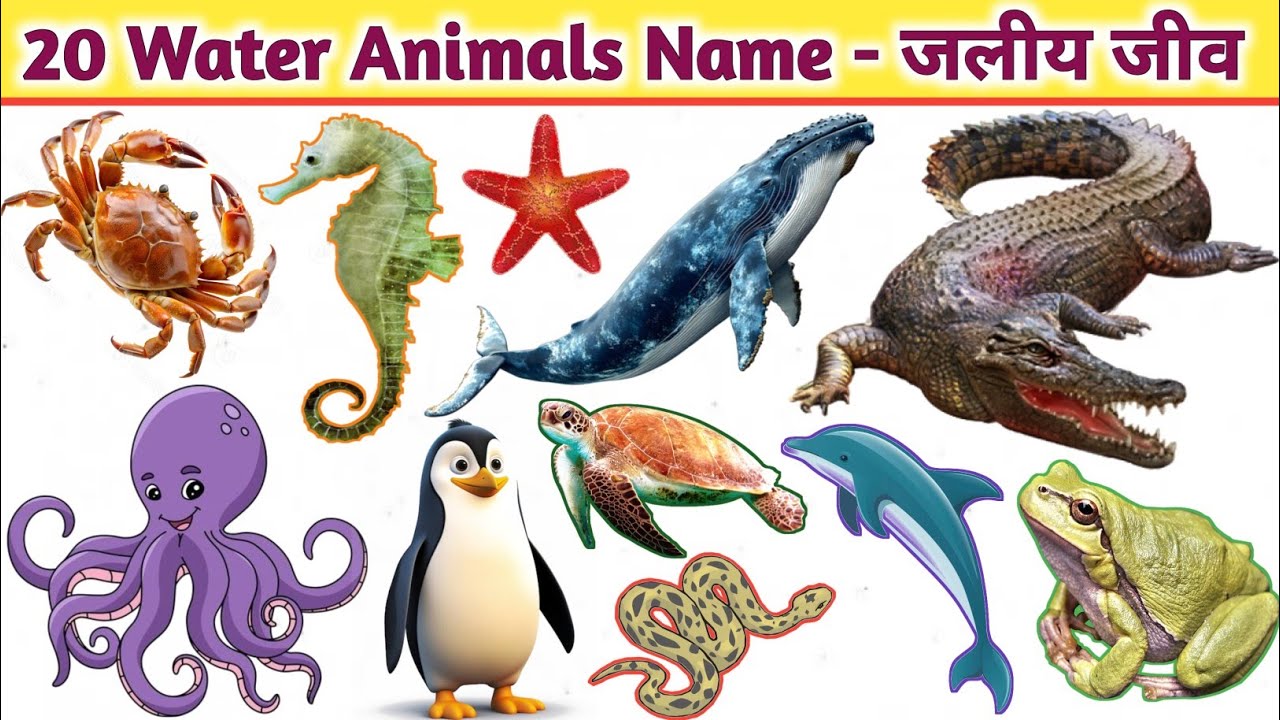 water-animals-name-in-hindi-english