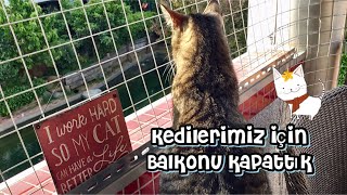 Kedilerimizin Guvenligi Icin Balkonu Telle Kapattik Youtube
