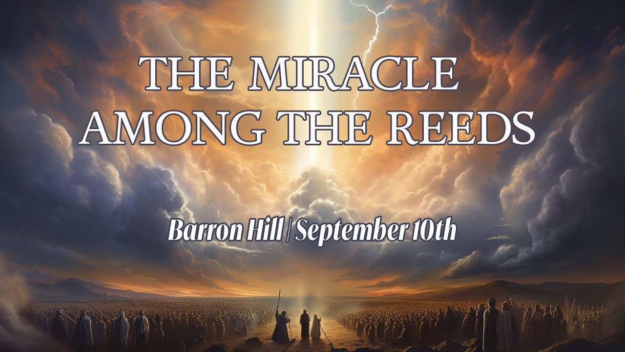 The Miracle Among the Reeds | Barron Hill - YouTube