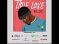 Wole dsb  true love official audio