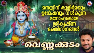 മനസ്സിന് കുളിർമയും ഉന്മേഷവും നൽകുന്ന മനോഹരമായ ശ്രീകൃഷ്ണഭക്തിഗാനങ്ങൾ | Sree krishna Songs Malayalam