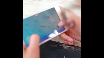 Pixel swordfish Nina & Mathilda