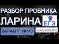 Ларин 313 вариант. Полный разбор. Alexlarin.