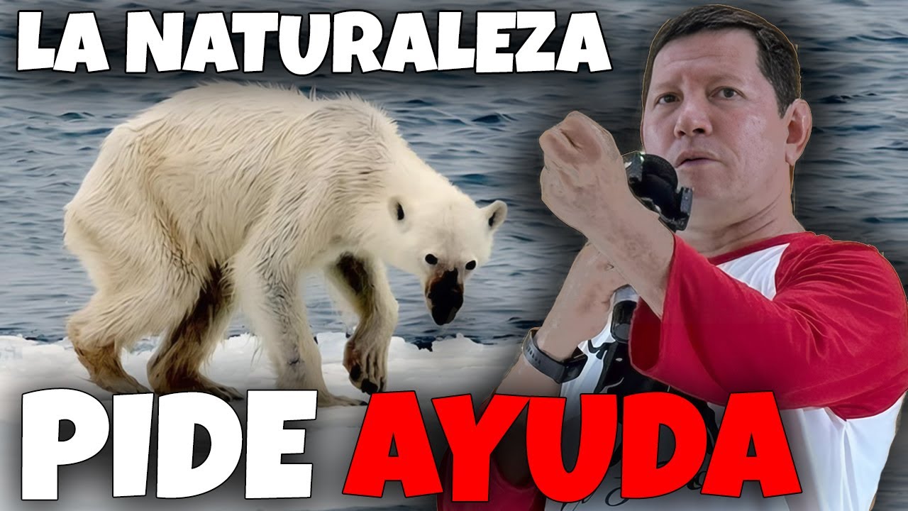 La Naturaleza esta Pidiendo Ayuda. El Padre Luis Toro nos Habla de la Misión de la Naturaleza