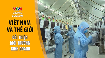 Cải thiện môi trường kinh doanh - Trợ lực để nền kinh tế phục hồi và phát triển | VTV4