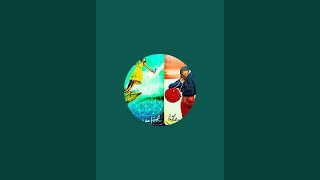 ⭐ 😳🔥❤️🔮 LIVE Tarot Reading NOW! | Free Tarot Answers | Tarot Waani ✨🌟