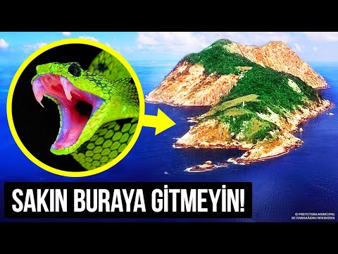 İnsanlar Korkudan Bu Adanın Yanına Bile Yaklaşamıyor! Neden Mi?