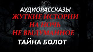 картинка: ЖУТКИЕ ИСТОРИИ НА НОЧЬ-ТАЙНА БОЛОТ