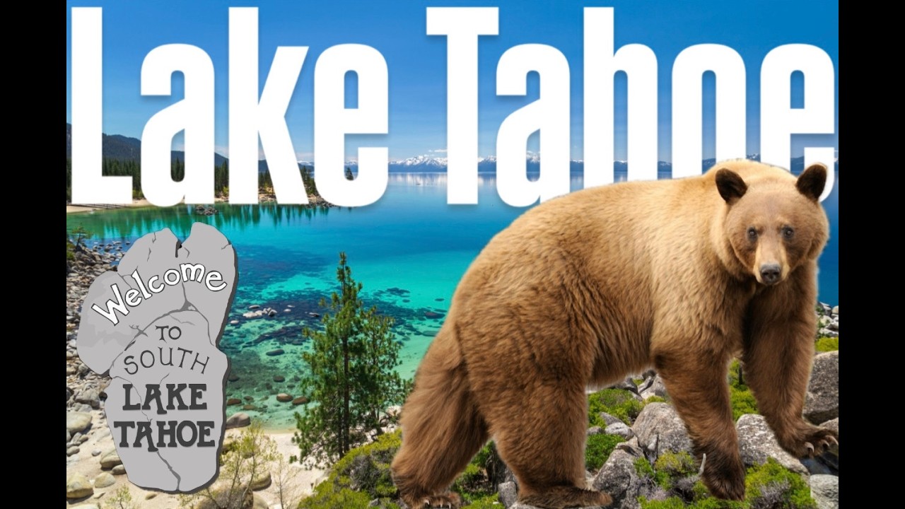 Lake Tahoe Vlog | Scenic Drive, Wildlife, and Camping at Camp Richardson