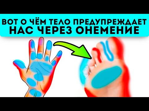 Наконец-то раскрыли! Онемение конечностей даёт нам сигнал об...