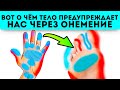 Наконец-то раскрыли! Онемение конечностей даёт нам сигнал об...