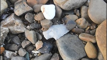 Arrowhead Archives - September 11, 2017 - The Lucky Cooler