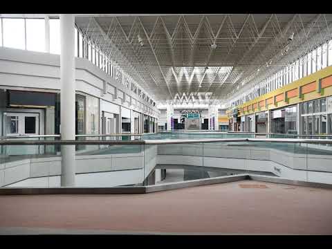(libet's delay)  (echo in the mall)